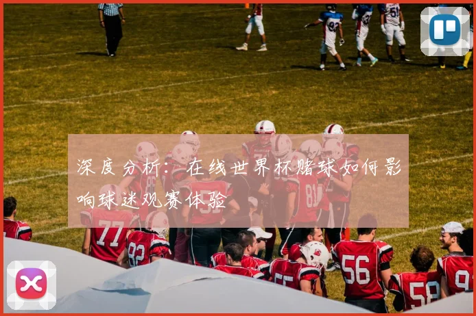 深度分析：在线世界杯赌球如何影响球迷观赛体验