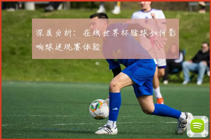 深度分析：在线世界杯赌球如何影响球迷观赛体验