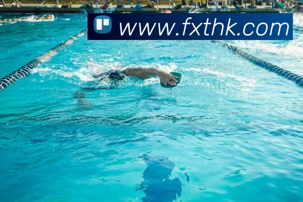 华体官网登录服务体系